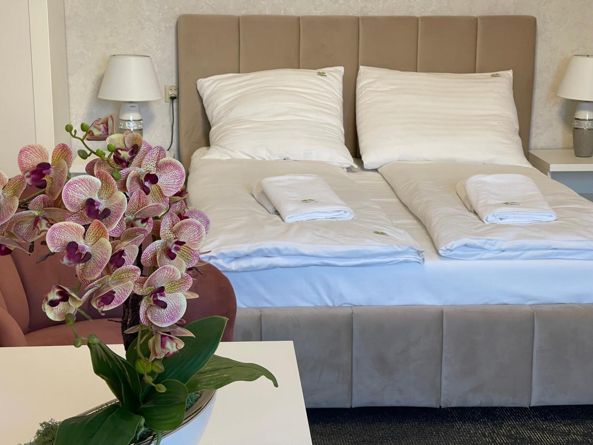 Pensjonat SPA u Tomasza Niechorze Bagian luar foto